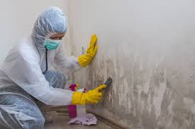 Best Mold Odor Removal Services  in Fort Washington, MD